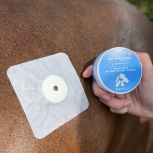 Bacxitium - S�rplaster, Til Kroppen, 10 X 10 Cm, Hest - 10X10 CM
