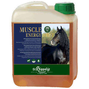 Muscle Energy Boost, 2,5 liter