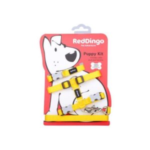 Red Dingo hvalpes�t, Gul