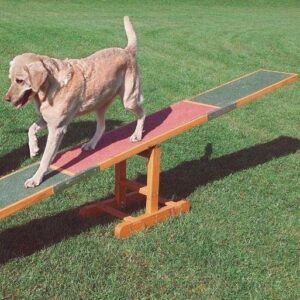 Agilitybane til sm� hunde med vippe, spring, slalom, ring, tunnel