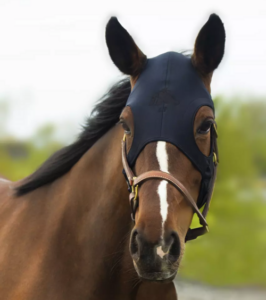 Fenwick Equestrian Liquid Titanium� maske - Karabinlukning - XS