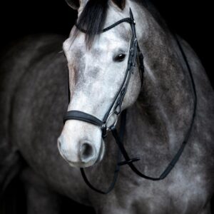 HorseGuard Cryll 24.2 Hannoveransk Trense - COB