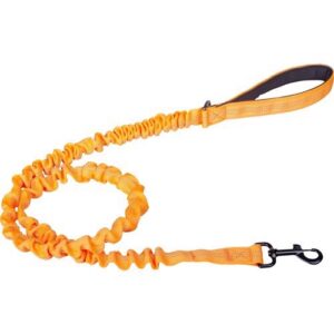 Companion Elastik hundesnor, Orange, 120 cm