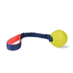 Coachi Tuggy Ball, med bungee str�k