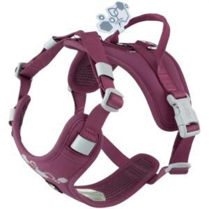 Hurtta Weekend Warrior II ECO Sele,Eggplant, 45-60 cm