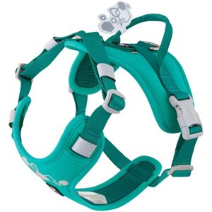Hurtta Weekend Warrior II ECO Sele, Peacock, 45-60 cm