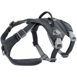 Hurtta Safeguard ECO sele, Blackberry, 45-60 cm