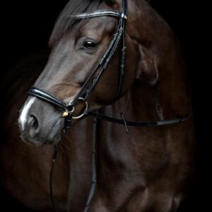 HorseGuard Cryll 24.1 Hannoveransk Trense - COB