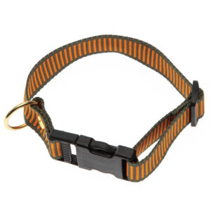 2-farvet Halsb�nd - Orange / Gr�n Halsrem 25 mm x 60 cm