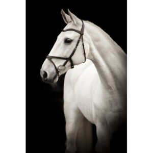 K�llquist Knight "Arthur" trense - Chocolate, Cob