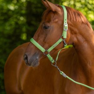 Covalliero Grime - Green - COB