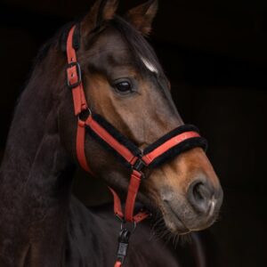 Covalliero Grime - COB - GRÅ