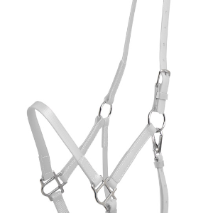 Zilco Deluxe Endurance grime - Hvid, Araber