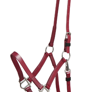 Zilco Deluxe Endurance grime - Burgundy, Araber