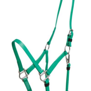 Zilco Deluxe Endurance grime - Lys gr�n, Araber