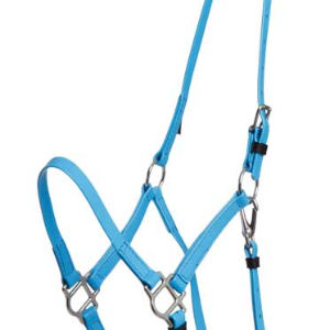 Zilco Deluxe Endurance grime - Cyan, Araber