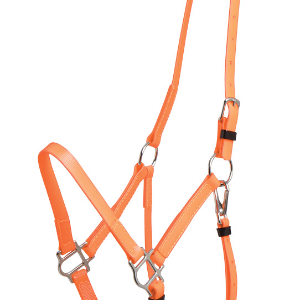 Zilco Deluxe Endurance grime - Orange, Araber