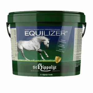 Equilizer 2,5 kg