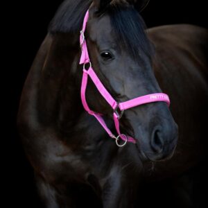 HorseGuard Malva Grime - Phlox Pink - COB