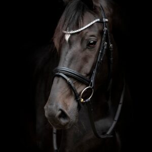 HorseGuard Emi 24.1 Trense - PONY