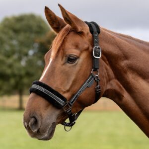 Waldhausen Elegant Grime - Sort - COB