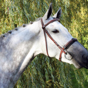 Mulenet - Cob
