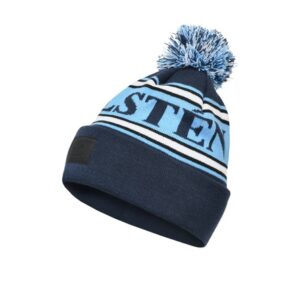 Wahlsten Logo Beanie 2.0