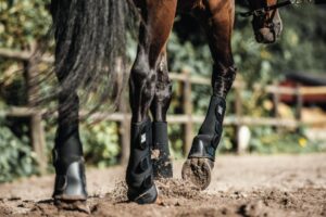 HorseGuard Neopren Foldgamacher - STR XL