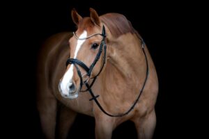 Catago Brooklyn Trense - COB