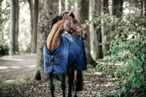 Kentucky - Staldd�kken, stable rug, 200g foret m. kaninpels, navy - Navy / 160cm
