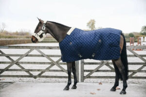 Kentucky - Staldd�kken, stable rug, 200g foret m. kaninpels, navy - Navy / 160cm