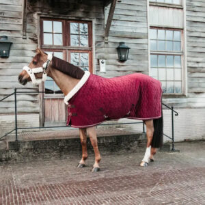 Kentucky - St�vne t�ppe, show rug, Velour, Brodeaux - Bordeaux / 155cm