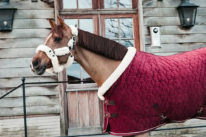 Kentucky - St�vne t�ppe, show rug, Velour, Brodeaux - Bordeaux / 115cm