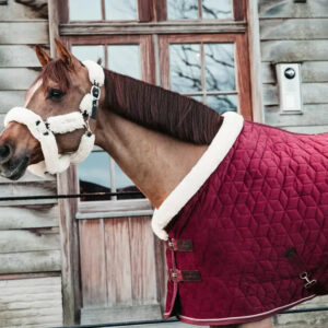 Kentucky - St�vne t�ppe, show rug, Velour, Brodeaux - Bordeaux / 100cm
