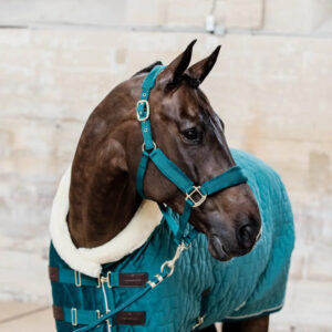 Kentucky - St�vne t�ppe, Velour, 160g, Emerald - Emerald / 110cm