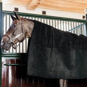 Kentucky - Heavy Fleece t�ppe, firkantet - Sort / 140X160