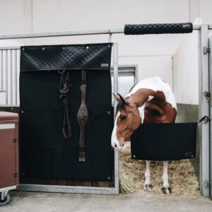 Kentucky - Hoved beskytter - Bordeaux