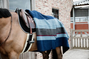 Kentucky - Gjord med lammeskind, sheepskin girth. - Black / 145cm
