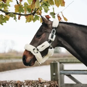 Kentucky Sheepskin Shipping Grime - Natur - COB