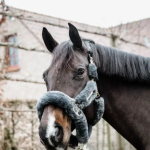 Kentucky Sheepskin Shipping Grime - Grå - FULL