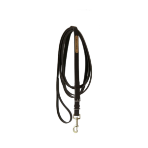 Kentucky - Hingste tov, 4m - Black / 4m