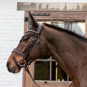 Kentucky - Hut, wellington - Dark navy / Pony