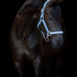 HorseGuard Malva Grime - Coronet Blue - XFULL