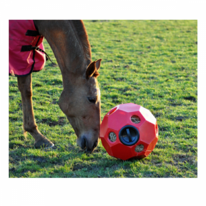 Hay Play Ball - R�d