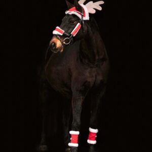 Waldhausen jules�t til hest & pony