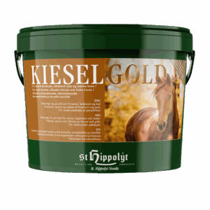 Kieselgold 10 kg