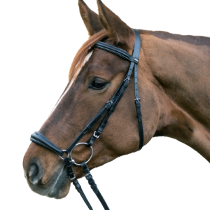 Waldhausen Star Hannoveransk Trense - COB