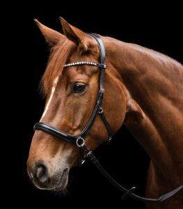 Waldhausen Sensation X-Line Bidløs Trense - COB