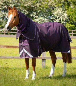 Premier Equine Buster 70g d�kken med aftagelig hals - Lilla