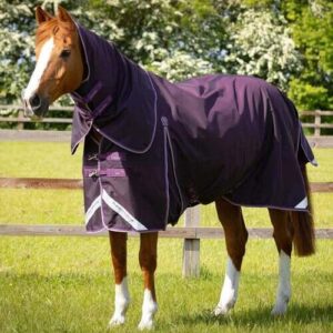 Premier Equine Buster 70g d�kken med aftagelig hals - Lilla